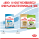Royal Canin-Tüten: Puppy X-Small, Adult Chihuahua, X-Small Adult; deutsche Überschrift 'AB DEM 10. MONAT' und Kennzeichnungen 2/10 Monate.