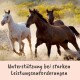 Drei Pferde, die durch eine staubige Landschaft laufen, mit dem Text 'Unterstützung bei starken Leistungsanforderungen' am unteren Rand.