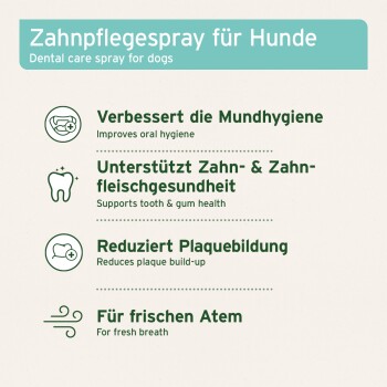 Zahnpflegespray für Hunde, verbessert die Mundhygiene, unterstützt die Zahn- und Zahnfleischgesundheit, reduziert Plaqueansammlungen, für frischen Atem.