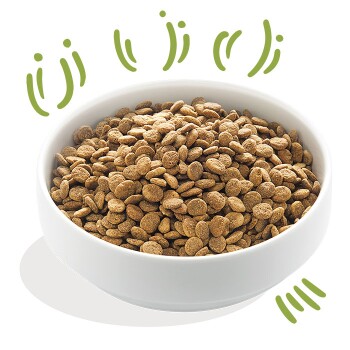 A white bowl filled with dry pet food kibble, surrounded by playful green swirls.