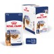 Royal Canin Maxi Ageing hondenvoeding, 140g zak, met een Duitse Herder op de verpakking, ter bevordering van de spijsverteringsgezondheid en jus.