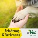 Eine Person hält sanft die Pfote eines Hundes in einer sonnigen Außenumgebung, mit dem Text 'Erfahrung & Vertrauen' und 'cdVet seit 1999' in der Ecke.