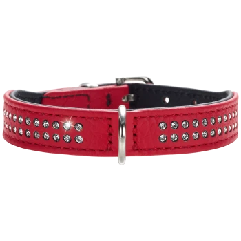 Rote Haustierhalsband geschmückt mit funkelnden Strasssteinen, mit einer silbernen Schnalle und schwarzem Innenfutter.