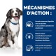 Un heureux berger australien est assis à côté d'un texte sur les bienfaits de la nourriture pour animaux : formule digestible, mélange prébiotique et antioxydants.