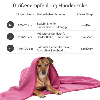 Rosa Hundedecke von Doctor Bark, gekennzeichnet als waschbar bis 95°C, mit Pflegehinweisen für Maschinenwäsche und Lufttrocknung.