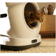 Gefleckte braune Katze späht aus weißem geschlossenem Katzenklo auf einem Teppich; Holzschrank und Vasen im Hintergrund.