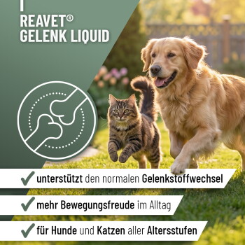 Etikett für ReaVet Gelenk Flüssigkeit, ein Nahrungsergänzungsmittel für Hunde und Katzen, das MSM enthält, mit Dosierungsanweisungen und Zutatenangaben.