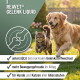 Etikett für ReaVet Gelenk Flüssigkeit, ein Nahrungsergänzungsmittel für Hunde und Katzen, das MSM enthält, mit Dosierungsanweisungen und Zutatenangaben.