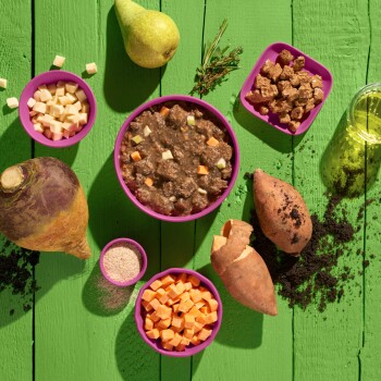 Eine grüne Holzoberfläche hält eine lila Schüssel mit Tierfutter, das Fleisch und Gemüse enthält, umgeben von Süßkartoffeln, einer Birne und Kräutern.