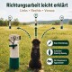 Leinen-Trainingsdummy für Hunde mit grünen und weißen Abschnitten auf Gras, unscharfer Hund im Hintergrund.