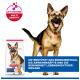 Deutscher Schäferhund, Hill's Science Plan Sack, ActivBiome+-Badge, blauer Banner mit der Aufschrift 'UNTERSTÜTZT DAS ENERGIENIVEAU'.