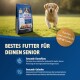 Golden Retriever läuft auf Gras neben einer Tüte M!EAT Senior Hundefutter mit deutschem Text über gesundheitliche Vorteile.