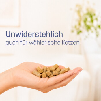 Grau getigerte Katze frisst aus einer KatKare „Sardine Essential“ Dose neben dem deutschen Text „Hypoallergen & funktional“.