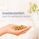 Grau getigerte Katze frisst aus einer KatKare „Sardine Essential“ Dose neben dem deutschen Text „Hypoallergen & funktional“.
