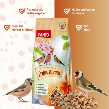 Ein Haufen verschiedener Nüsse, hauptsächlich Cashews und Erdnüsse, mit einer Mischung aus hellen und dunklen Farben, auf einem weißen Hintergrund.