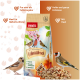 Ein Haufen verschiedener Nüsse, hauptsächlich Cashews und Erdnüsse, mit einer Mischung aus hellen und dunklen Farben, auf einem weißen Hintergrund.