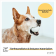 Eine Nahaufnahme eines Hundes, der einen weißen Ball im Mund hält, mit Text, der "Naturkautschuk-Material" und "Tierfreundliche & Robuste Materialien" hervorhebt.