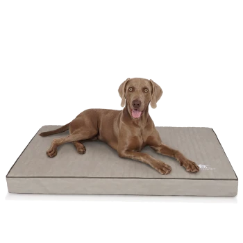 Ein brauner Hund, der bequem auf einem grauen Haustierbett mit strukturierter Oberfläche liegt, mit einem Logo in der Ecke.