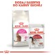 Opakowanie karmy dla kotów Royal Canin z suchą karmą 'Feline Preference Savour Exigent' i mokrą karmą 'Instinctive', z czerwonym logo korony.