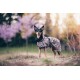Ein Hund in einem stilvollen Leopardenmuster-Mantel steht in einem Park mit blühenden lila Bäumen im Hintergrund.