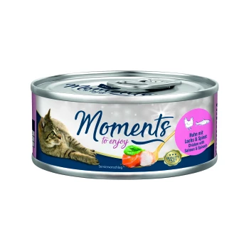 Adult Huhn mit Lachs und Spinat 12x70 g Dose Katzenfutter mit einem Bild einer grauen getigerten Katze, beschriftet mit 'Momente zum Genießen', mit 'Huhn mit Lachs & Spinat' auf Deutsch und Englisch.