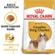 Royal Canin Hundefutterbeutel für Cavalier King Charles, mit einem Hundebild, dem Etikett "Erwachsene" und Text zur Ernährung der Rasse und Herzunterstützung.