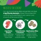 Grüne Tierfutter-Infografik: Fleisch, -40° Schneeflocke, Trockenfutter-Icons und deutscher Text 'WUSSTEST DU SCHON? 6 kg frische Zutaten'