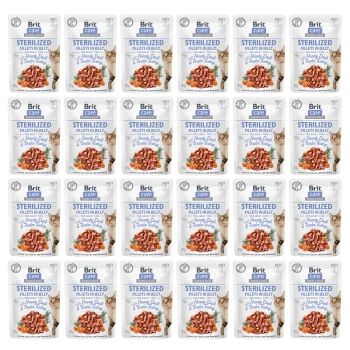 Paczki Brit Care Sterilized Fillets w galaretce dla kotów, z delikatnym indykiem, ułożone w wzór siatki.