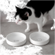 Eine schwarz-weiße Katze schnüffelt um zwei weiße Keramikschalen mit der Aufschrift 'CAT FOOD' auf einer grauen Oberfläche.