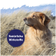 Golden Retriever sitzt im Dünengras und schaut nach rechts; blauer Kreis mit der Aufschrift 'Natürliche Wirkstoffe'