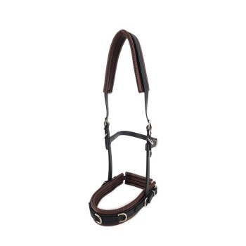 Equizaum schwarz Pony