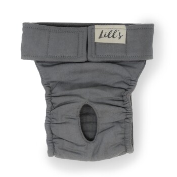 Läufigkeitshöschen "Lou" Stone Grey grau L