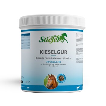 Behälter mit Stiefel Kieselgur für Pferde, mit einem Pferdebild, mit dem Text, der angibt, dass es Zink und Vitamin B-Komplex enthält.
