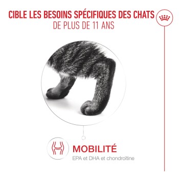 Gros plan sur les pattes arrière d'un chat avec un texte sur le soutien de la mobilité pour chats de plus de 11 ans, EPA, DHA et chondroïtine.
