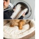 Eine Person legt ein flauschiges Haustierbett in eine Waschmaschine, während die kleinen Pfoten eines Hundes auf dem weichen, cremefarbenen Innenraum des Bettes ruhen.