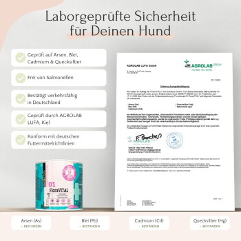 Lächelnder Shiba Inu neben deutschem Text, der einfache tägliche Dosierung und Vorteile für Darmgesundheit und Immunsystem erklärt.
