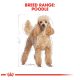 Illustration of a Poodle with a fluffy, light brown coat, accompanied by the text "BREED RANGE: POODLE" at the top.