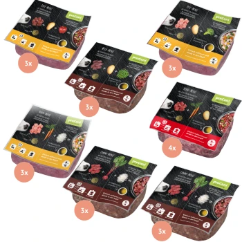 Sechs Pakete Haustierfutter der Marke "proCani", mit verschiedenen Fleischsorten und Zutaten, mit Etiketten, die Geschmäcker und Portionsgrößen anzeigen.