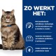 Een fluffy bruine tabby kat met een blauwe halsband zit rechtop, naast een blauw paneel met tekst over ActivBiome+ technologie voor huisdiermicrobiomen.