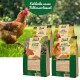 Eine braune Henne steht im Gras neben fünf 5 kg Geflügelfutterbeuteln, die mit verschiedenen Namen und Bildern von Hühnern beschriftet sind.