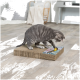 Eine verspielte graue getigerte Katze interagiert mit einem bunten Kratzpad mit einem versteckten Ball, das auf einem hellen Holzboden liegt.