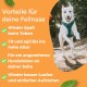 Ein verspielter Hund in einem Geschirr springt im Freien und zeigt Vorteile wie Spaß, Fitness, Gesellschaft und verbesserte Mobilität.