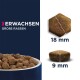 Trockenfutter Hund Large Breed Adult, Lamm & Reis 2x12 kg