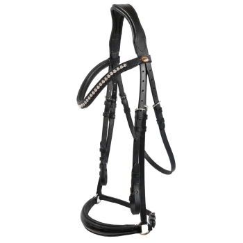 Eine Nahaufnahme eines braunen Pferdes, das ein schwarzes Zaumzeug mit einem mit Juwelen besetzten Stirnriemen trägt, vor einem verschwommenen grünen Hintergrund.