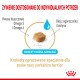 Karma dla psów w postaci krokietów dla Yorkshire Terrierów, podkreślająca dostosowane odżywianie z Omega 3 i 6, olejem z wiesiołka i biotyną.