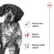 Close-up of a concerned speckled dog with icons for "Muscle mass support," "Natural defences," and "Optimal health support."