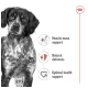 Close-up of a concerned speckled dog with icons for "Muscle mass support," "Natural defences," and "Optimal health support."