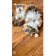 Eine flauschige dreifarbige Katze, die auf dem Rücken auf einem Holzboden liegt und spielerisch ihren Bauch zeigt, mit einem kleinen weißen Pom-Pom in der Nähe.