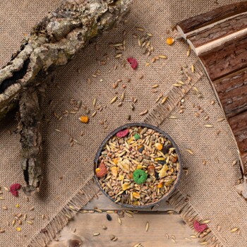 Eine Schüssel mit buntem Vogelfutter mit Körnern, Samen und getrockneten Fruchtstücken, umgeben von verstreuten Samen auf einem Jute-Hintergrund.