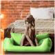 Ein grauer Weimaraner-Hund sitzt aufrecht in einem hellgrünen Haustierbett, mit einer gemütlichen gestrickten Decke und einem Bett im Hintergrund.